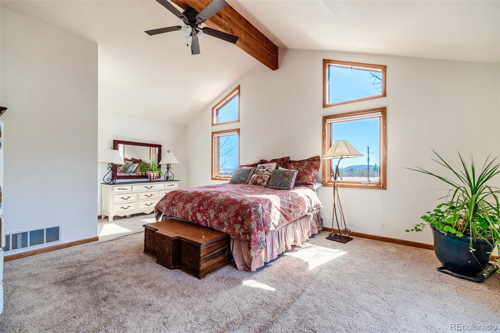 MLS Image #16 for 16  thurber court,fairplay, Colorado