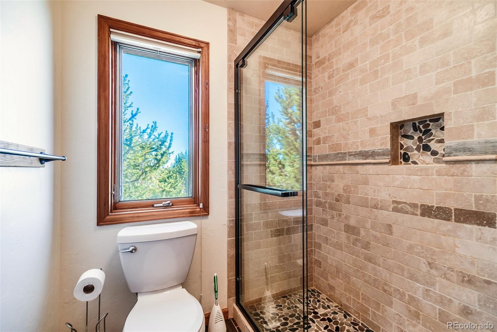 MLS Image #18 for 16  thurber court,fairplay, Colorado