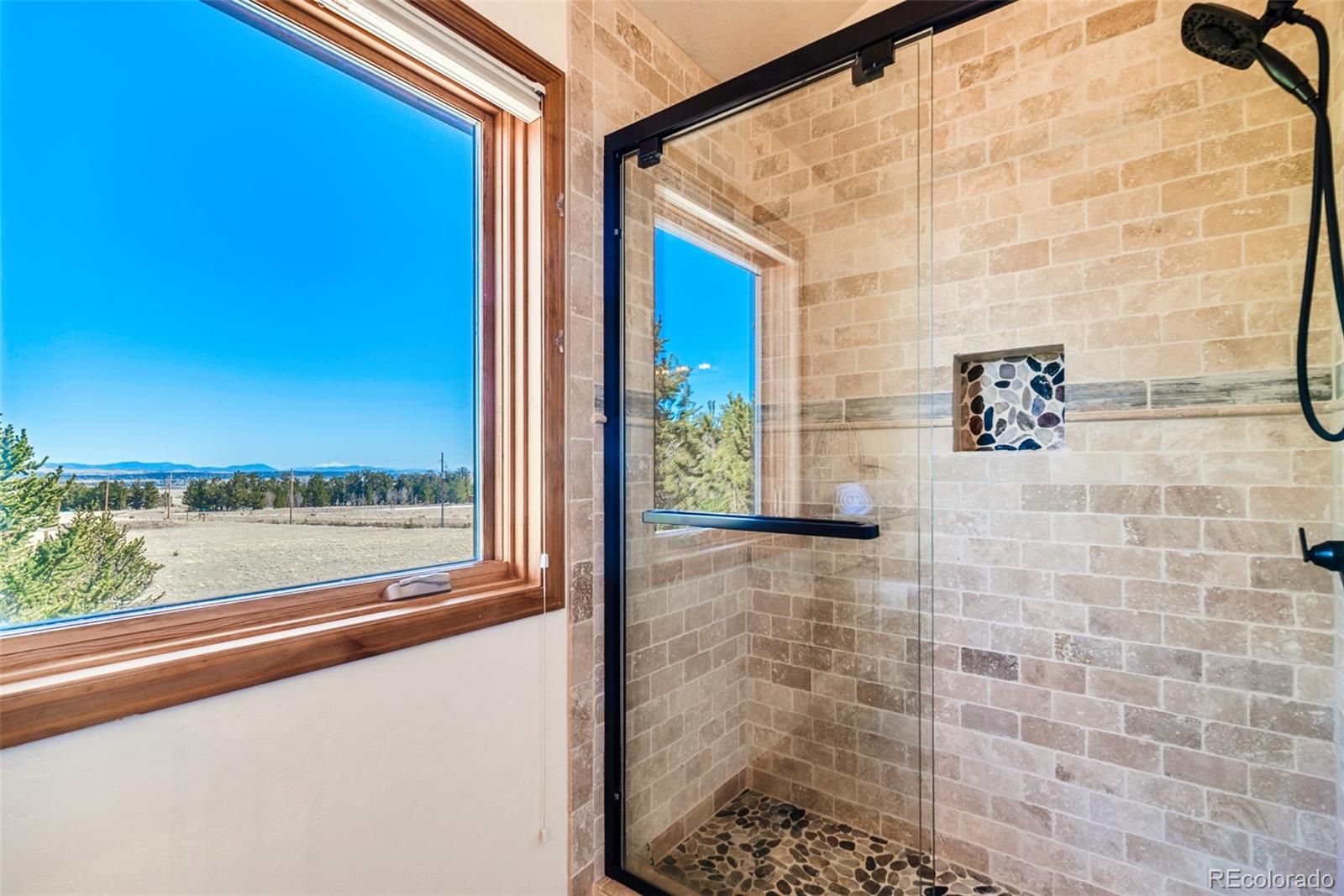 MLS Image #19 for 16  thurber court,fairplay, Colorado