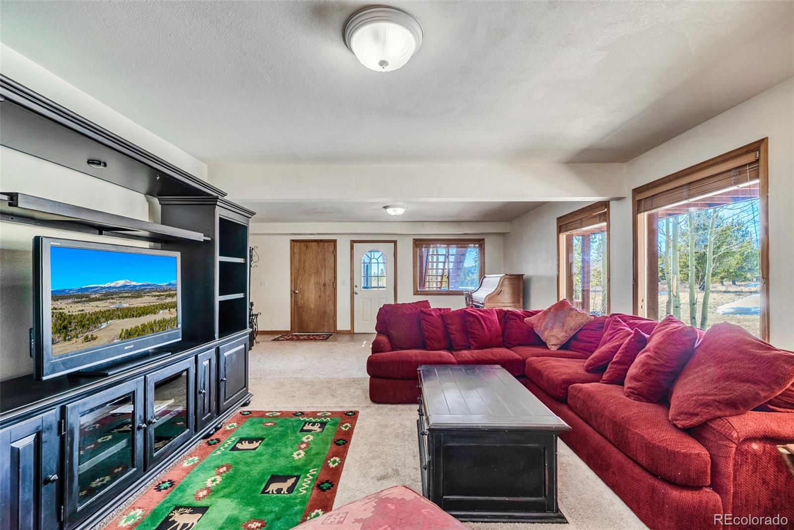 MLS Image #20 for 16  thurber court,fairplay, Colorado