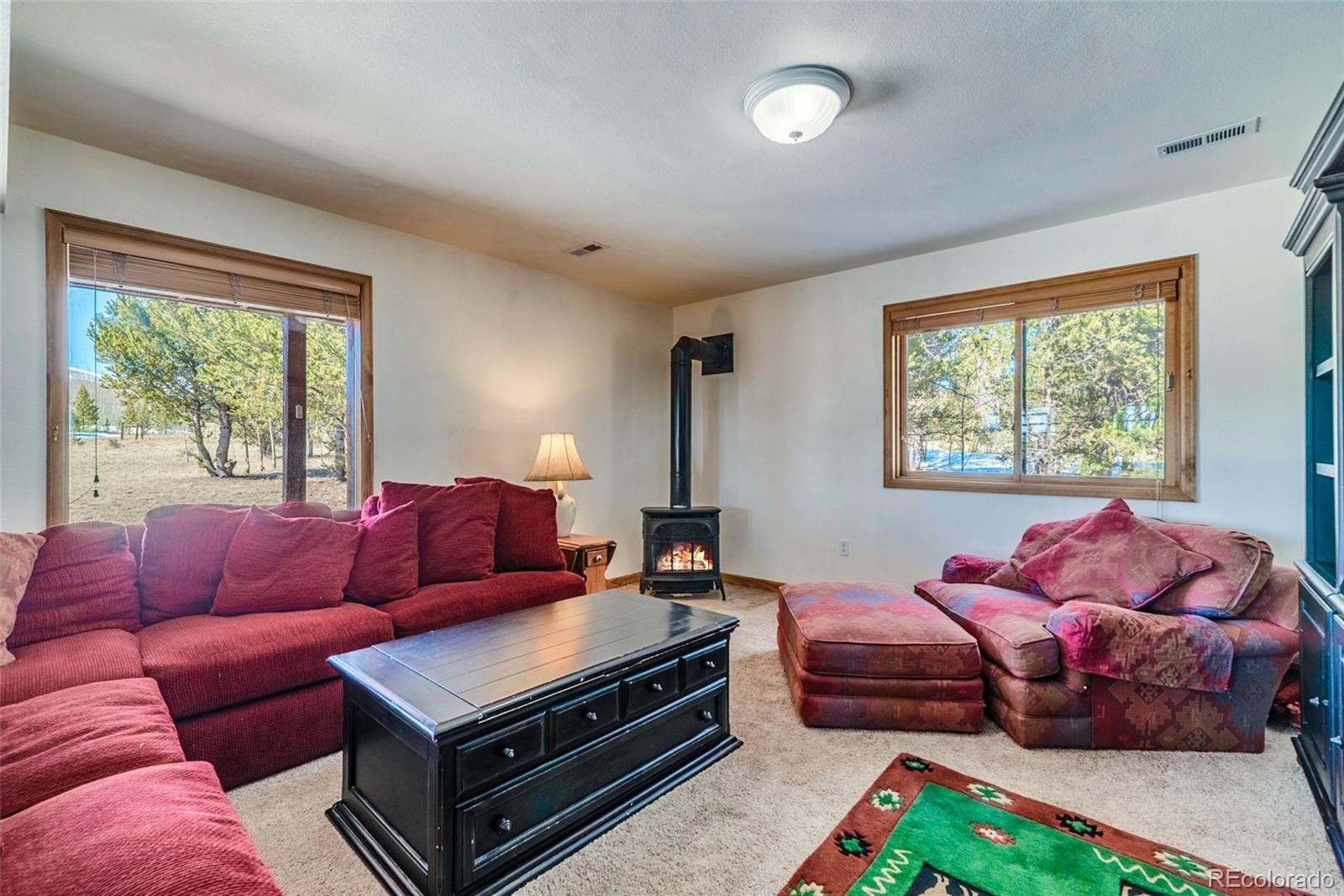 MLS Image #21 for 16  thurber court,fairplay, Colorado