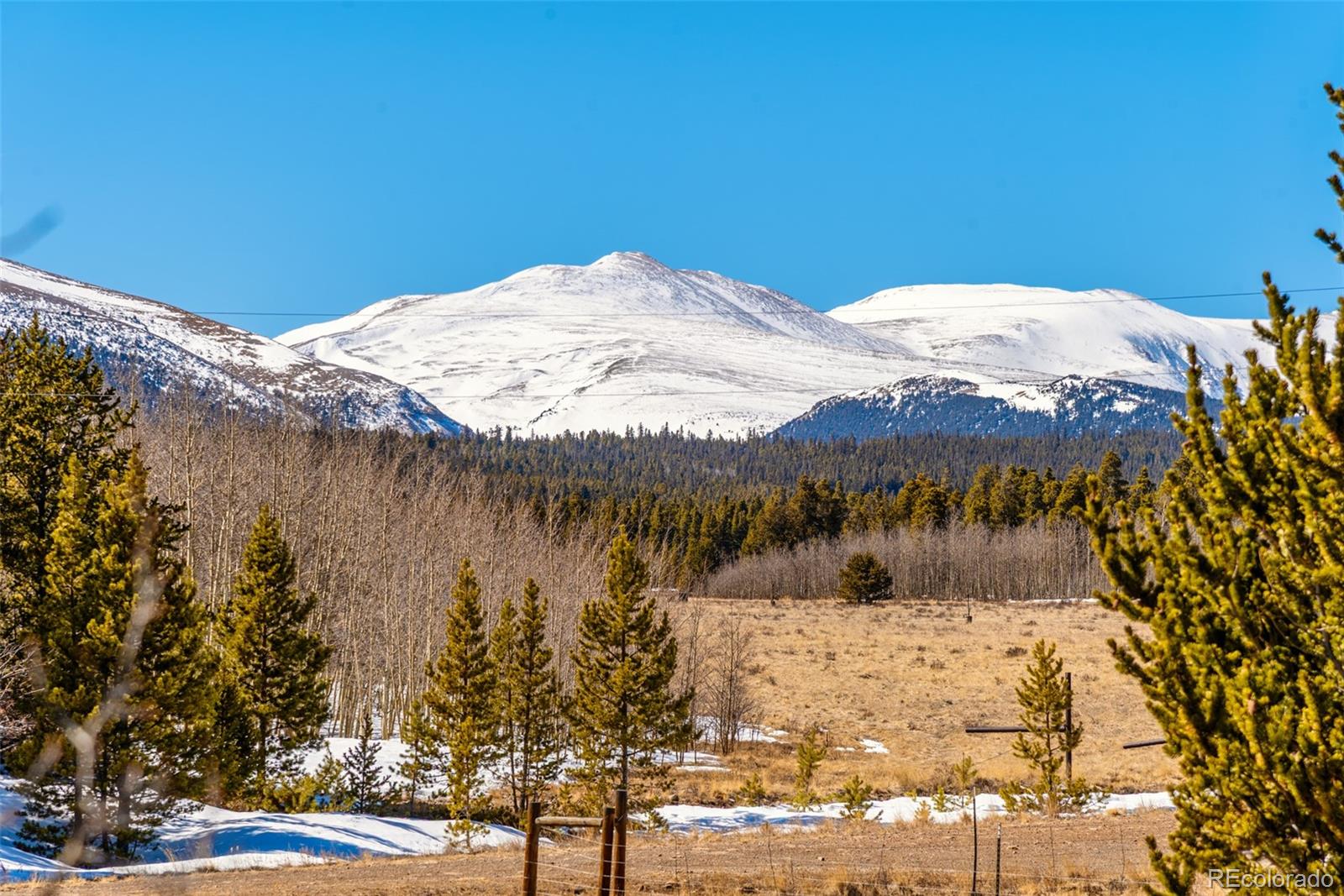 MLS Image #22 for 16  thurber court,fairplay, Colorado