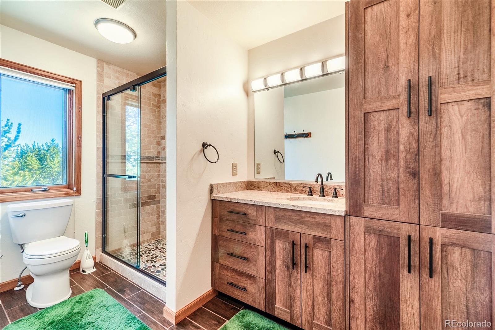 MLS Image #23 for 16  thurber court,fairplay, Colorado