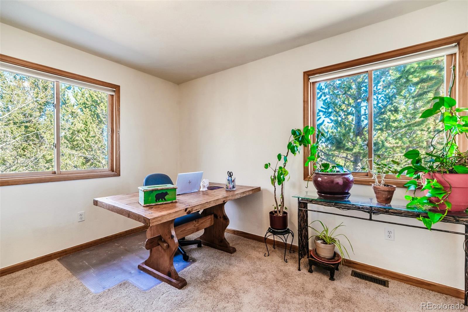 MLS Image #25 for 16  thurber court,fairplay, Colorado