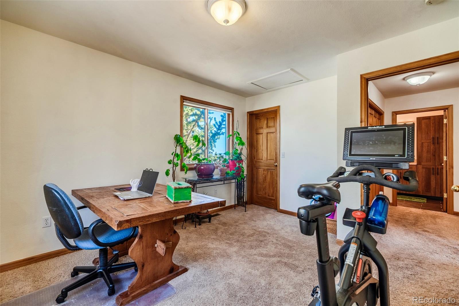 MLS Image #26 for 16  thurber court,fairplay, Colorado