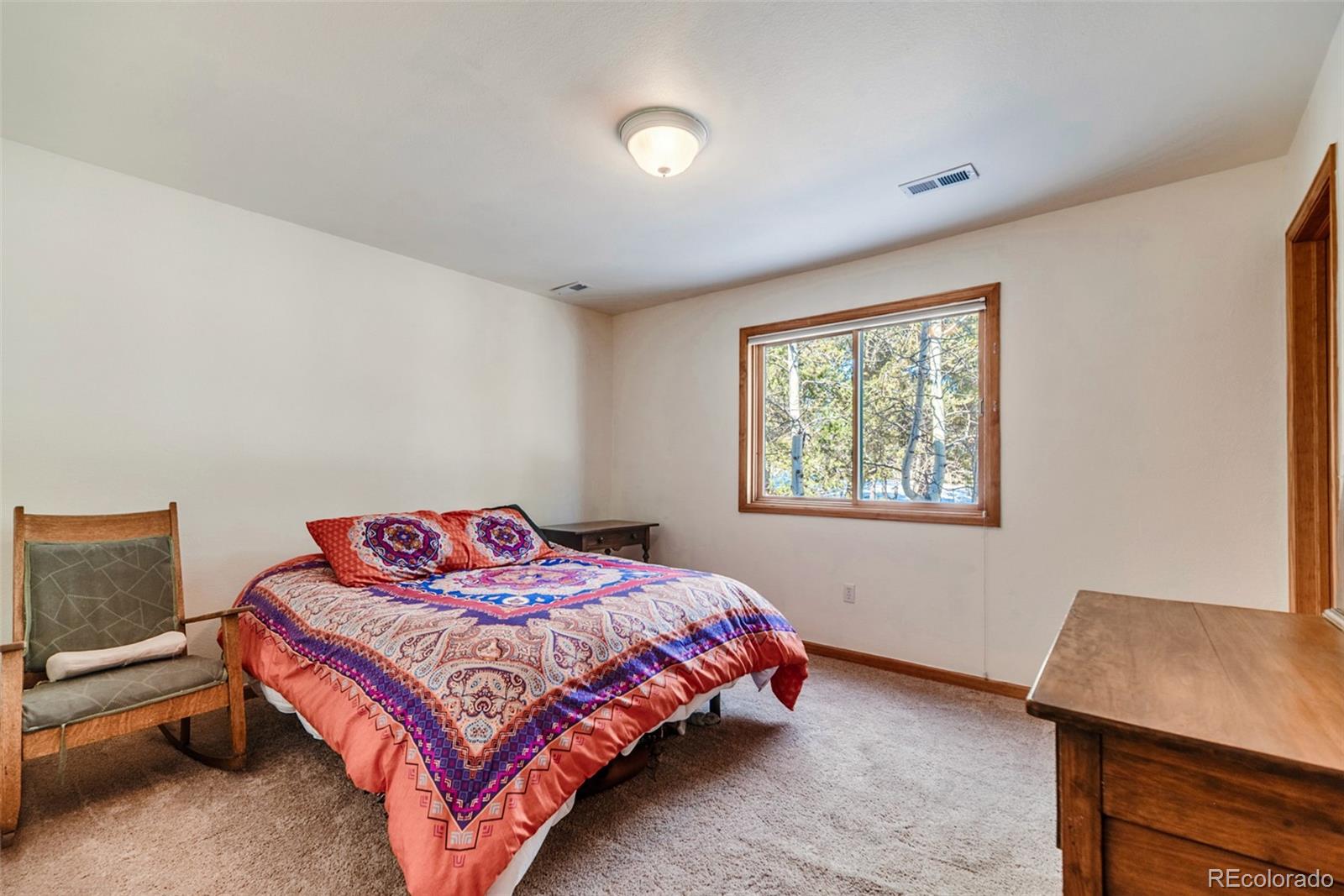 MLS Image #27 for 16  thurber court,fairplay, Colorado