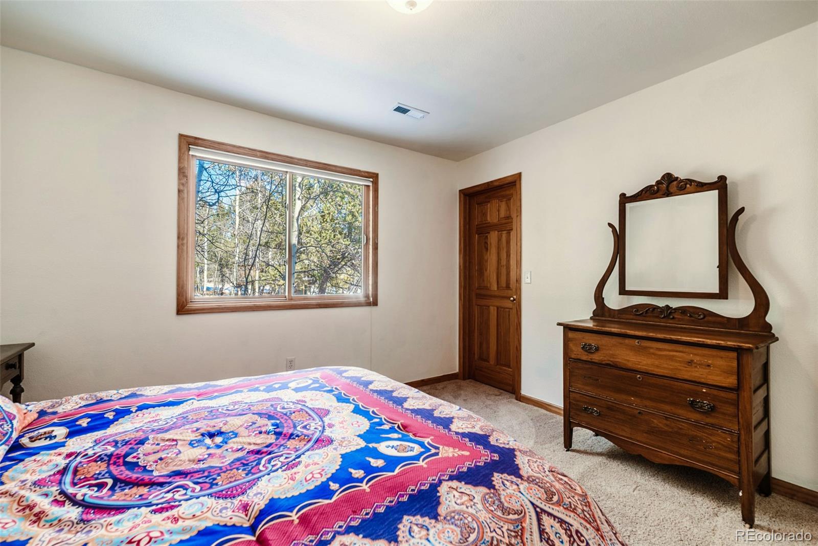 MLS Image #28 for 16  thurber court,fairplay, Colorado