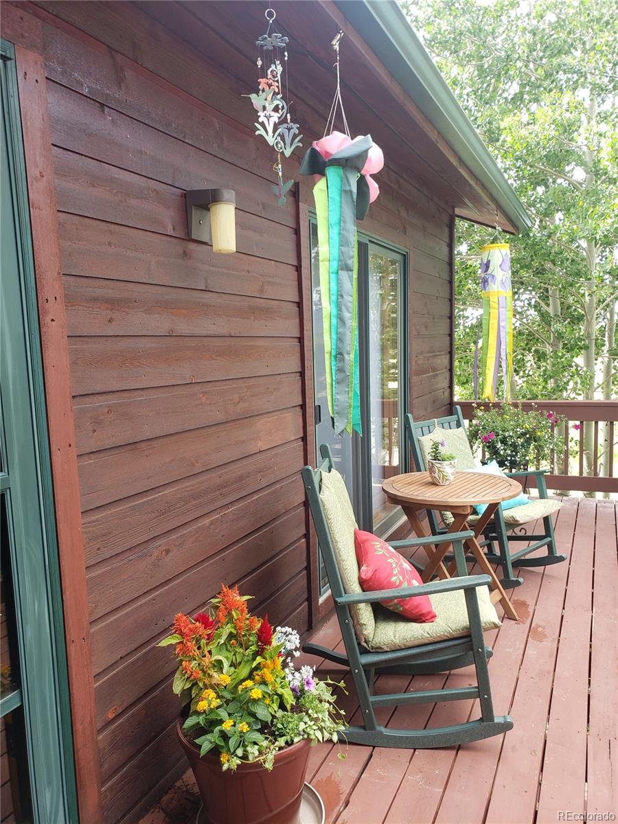 MLS Image #36 for 16  thurber court,fairplay, Colorado