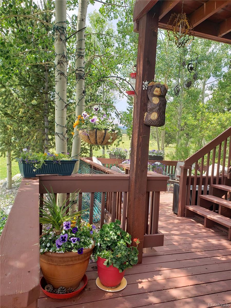 MLS Image #37 for 16  thurber court,fairplay, Colorado