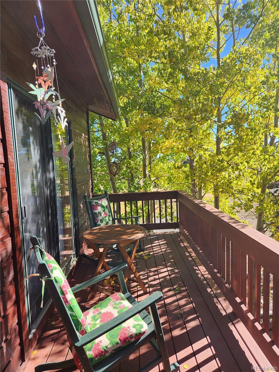 MLS Image #38 for 16  thurber court,fairplay, Colorado