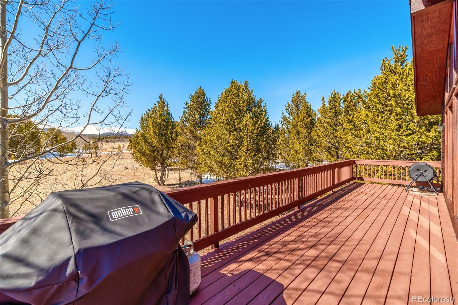 MLS Image #42 for 16  thurber court,fairplay, Colorado