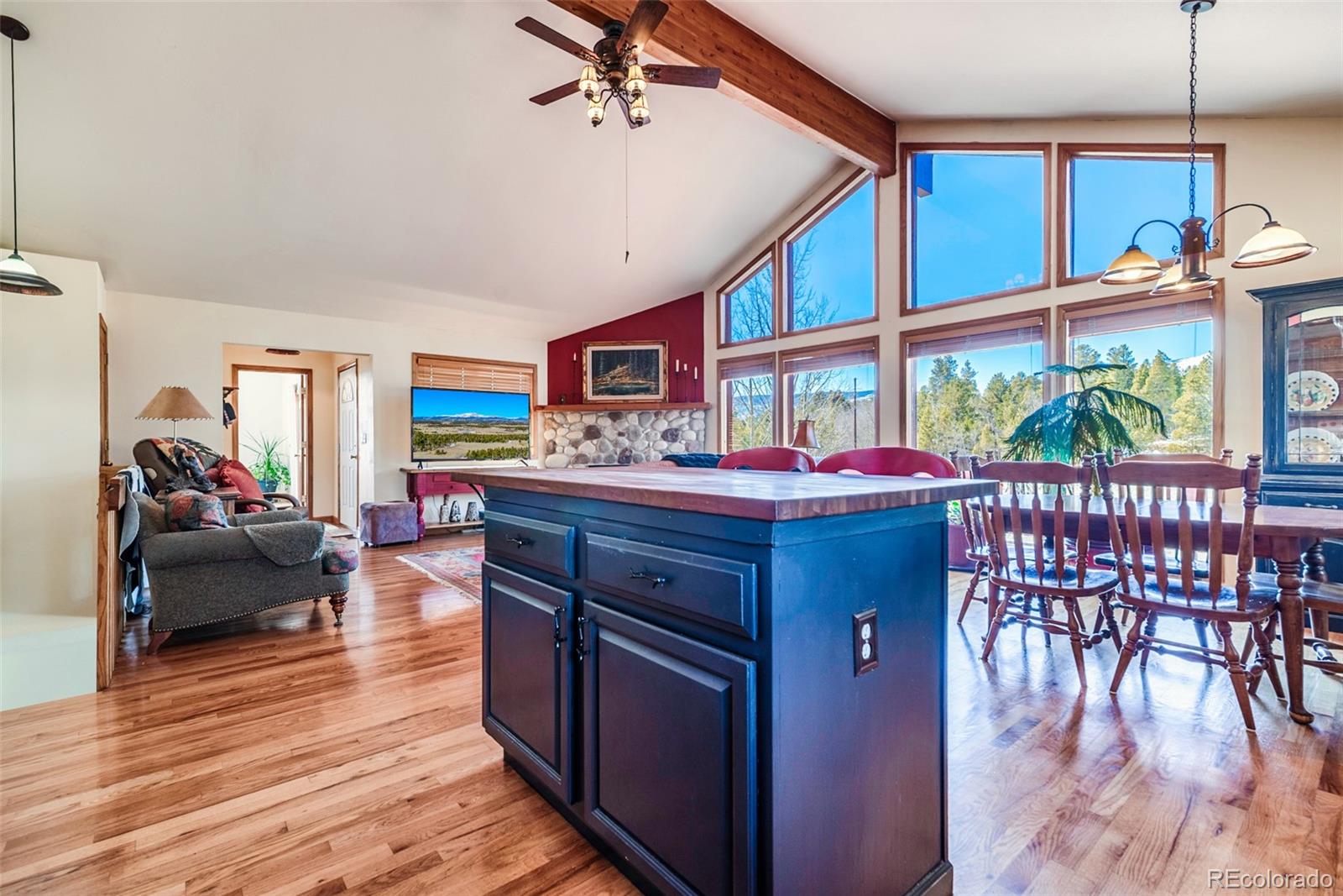 MLS Image #9 for 16  thurber court,fairplay, Colorado