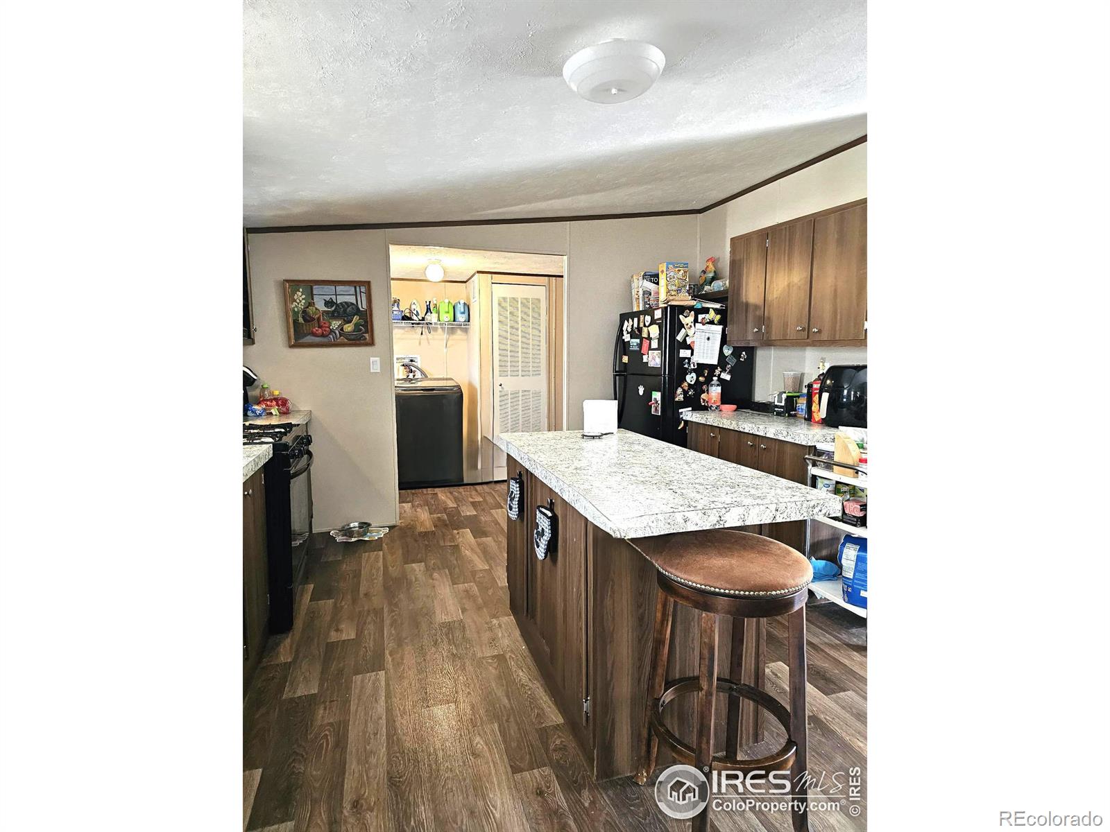 MLS Image #4 for 219  larch drive,log lane village, Colorado
