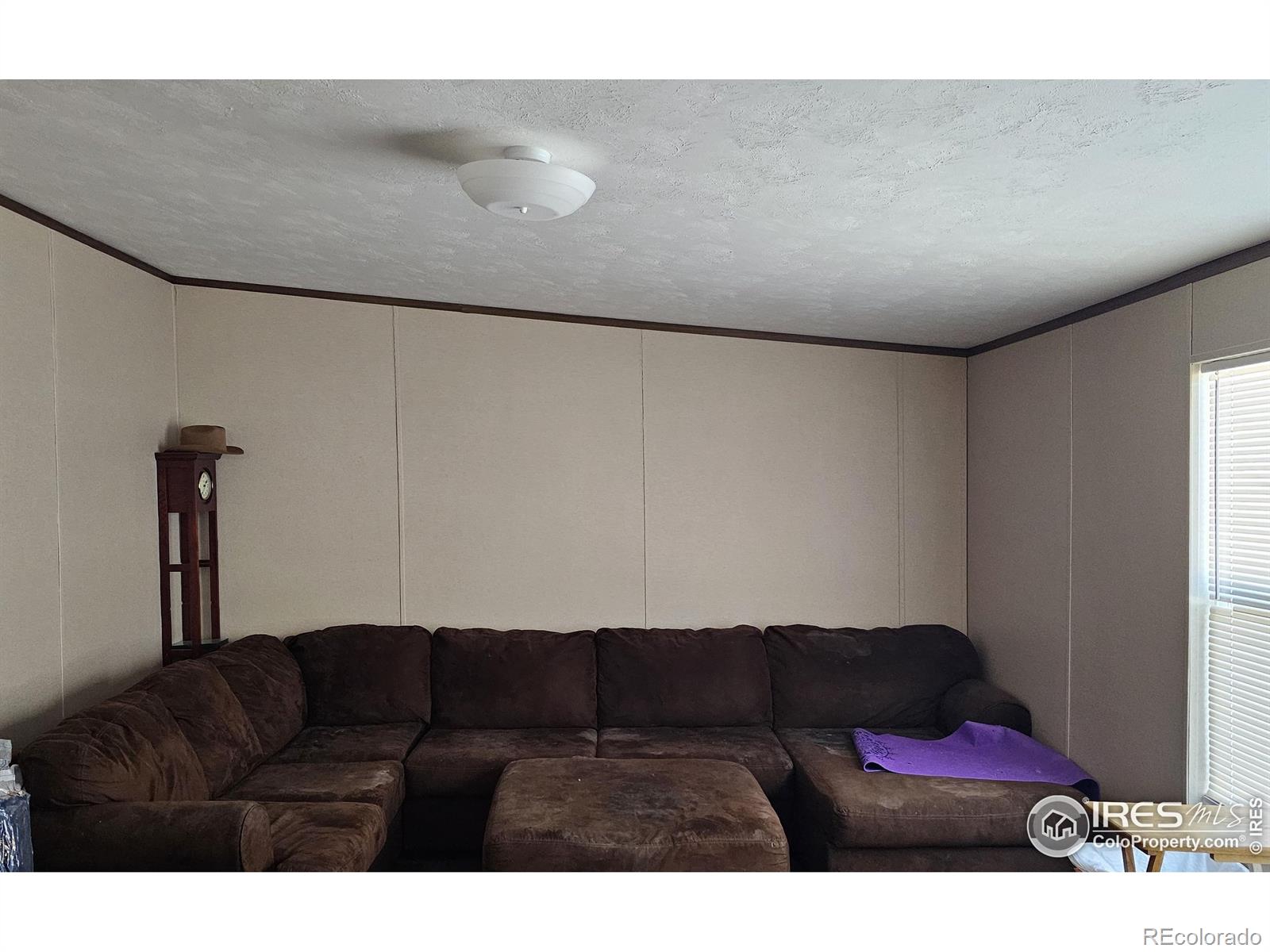 MLS Image #6 for 219  larch drive,log lane village, Colorado