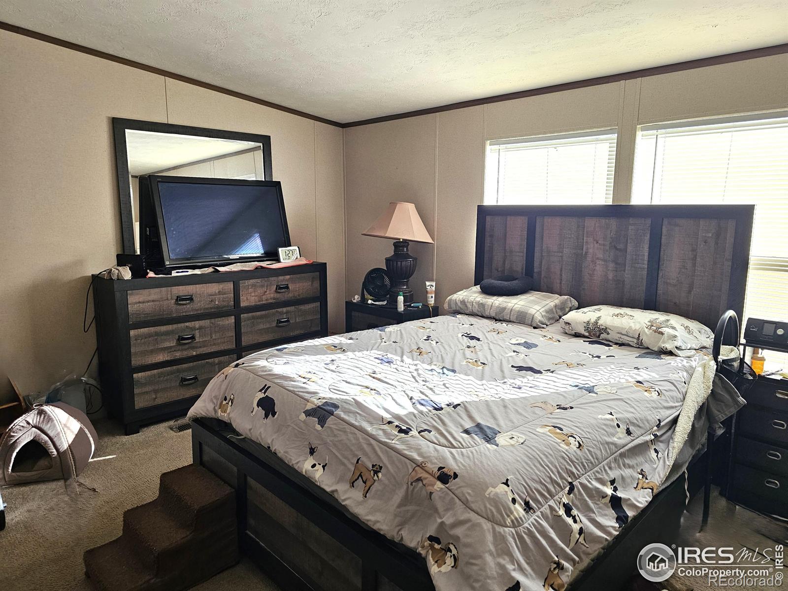 MLS Image #7 for 219  larch drive,log lane village, Colorado
