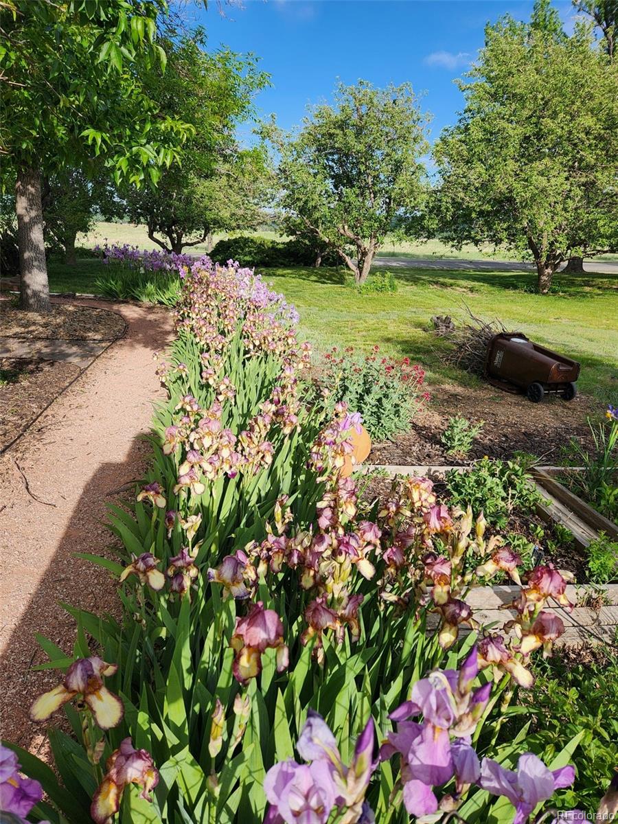 MLS Image #37 for 1069  crestmoor drive,boulder, Colorado