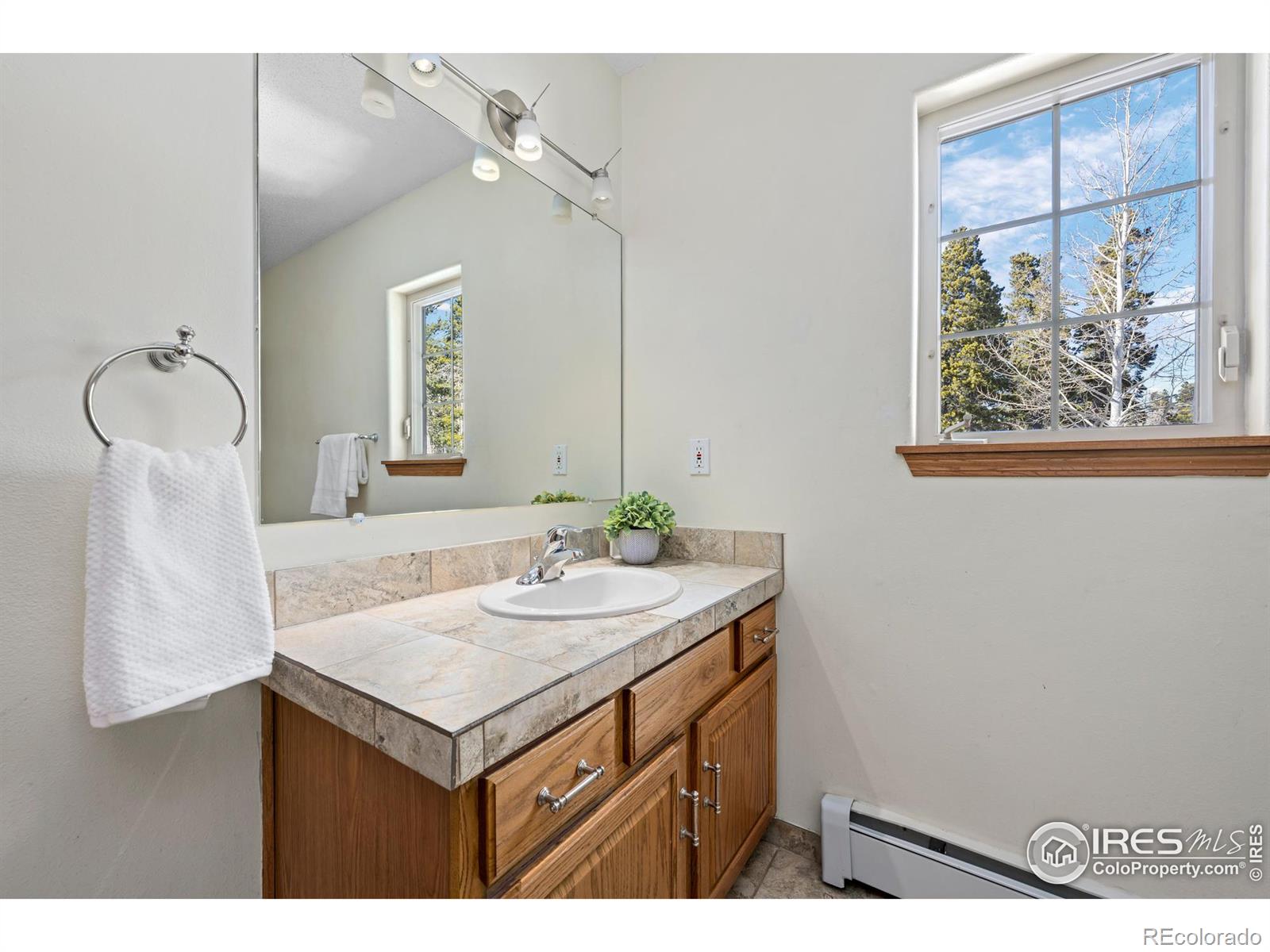 MLS Image #17 for 439  ronnie road,golden, Colorado