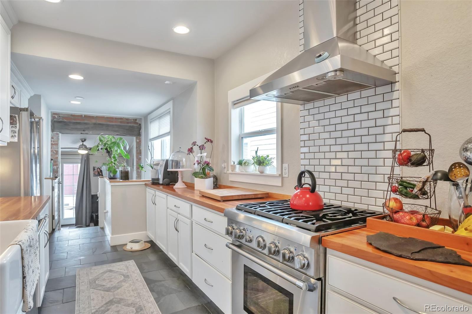 MLS Image #9 for 2033 s ogden street,denver, Colorado