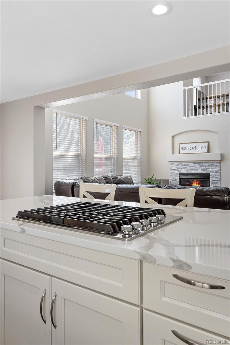 MLS Image #14 for 10058  glenstone circle,highlands ranch, Colorado