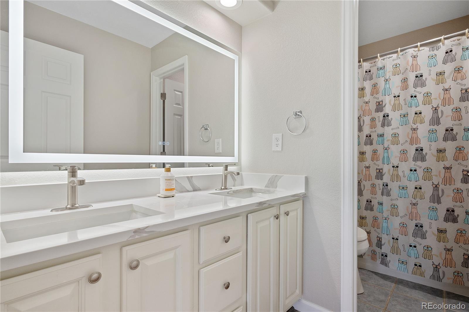 MLS Image #30 for 10058  glenstone circle,highlands ranch, Colorado