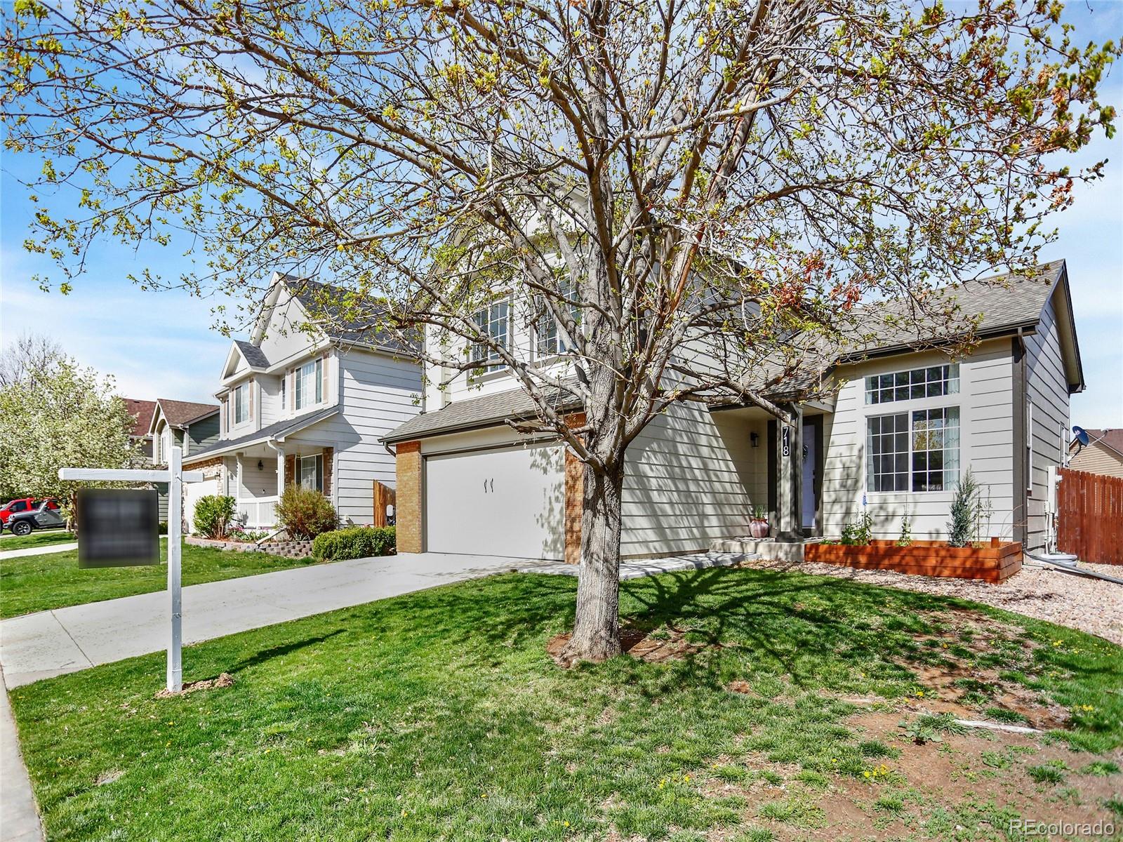 MLS Image #2 for 718  fairhaven street,castle rock, Colorado