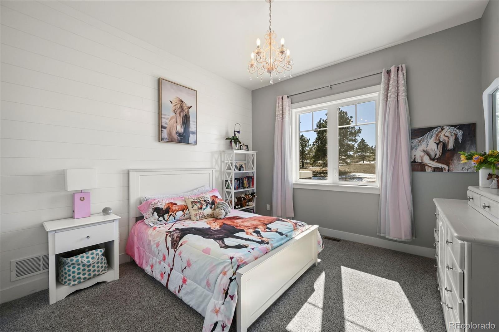 MLS Image #26 for 3974  walker road,colorado springs, Colorado