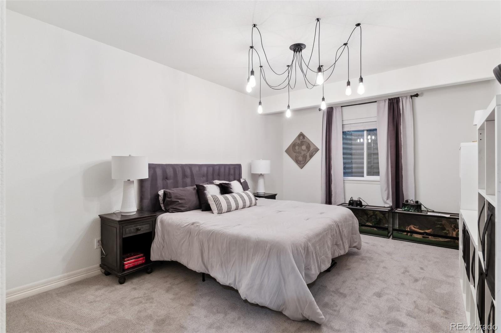 MLS Image #38 for 10546  sundial rim road,highlands ranch, Colorado