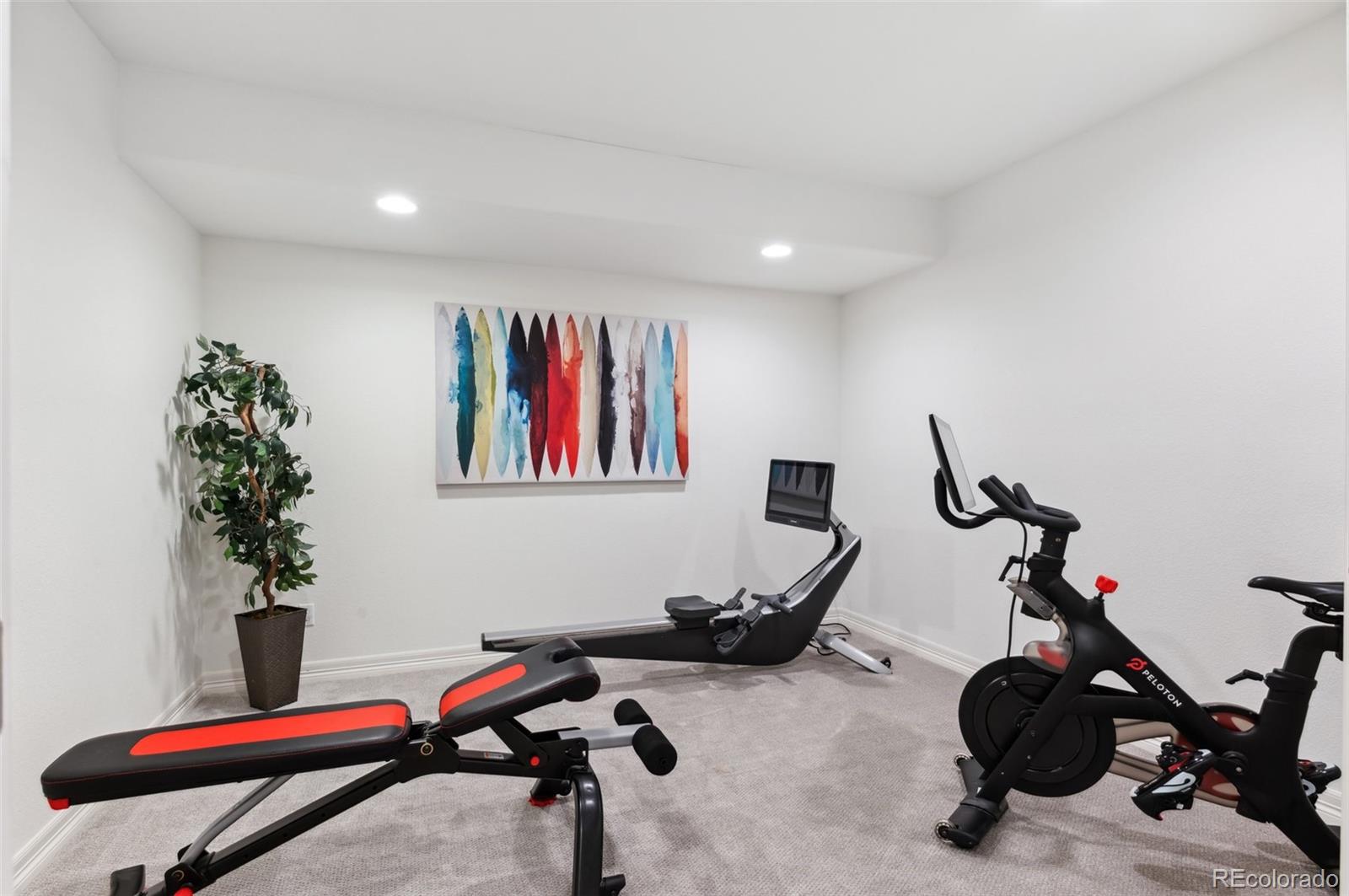 MLS Image #39 for 10546  sundial rim road,highlands ranch, Colorado
