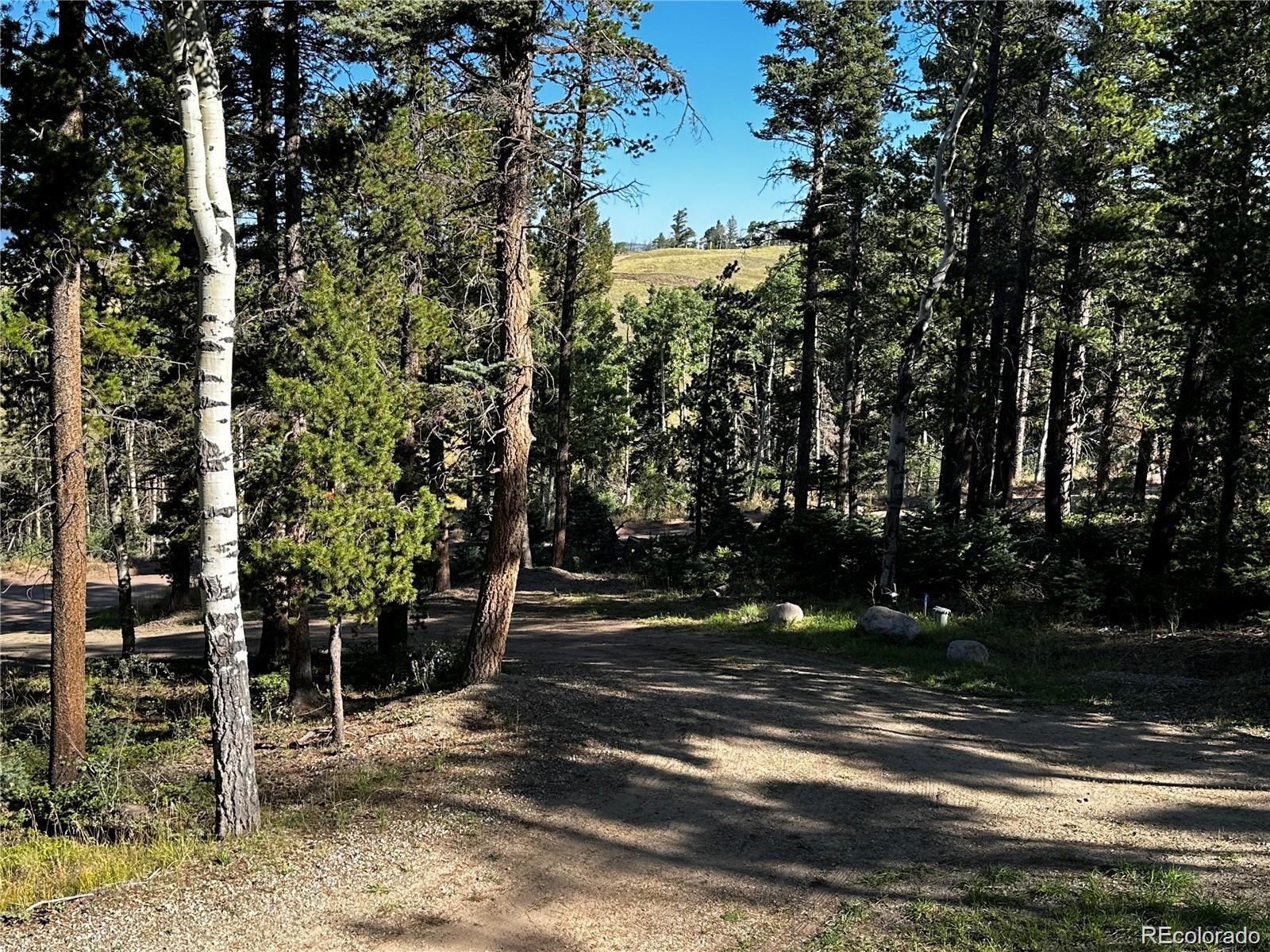 MLS Image #13 for 2450  petito drive,fort garland, Colorado