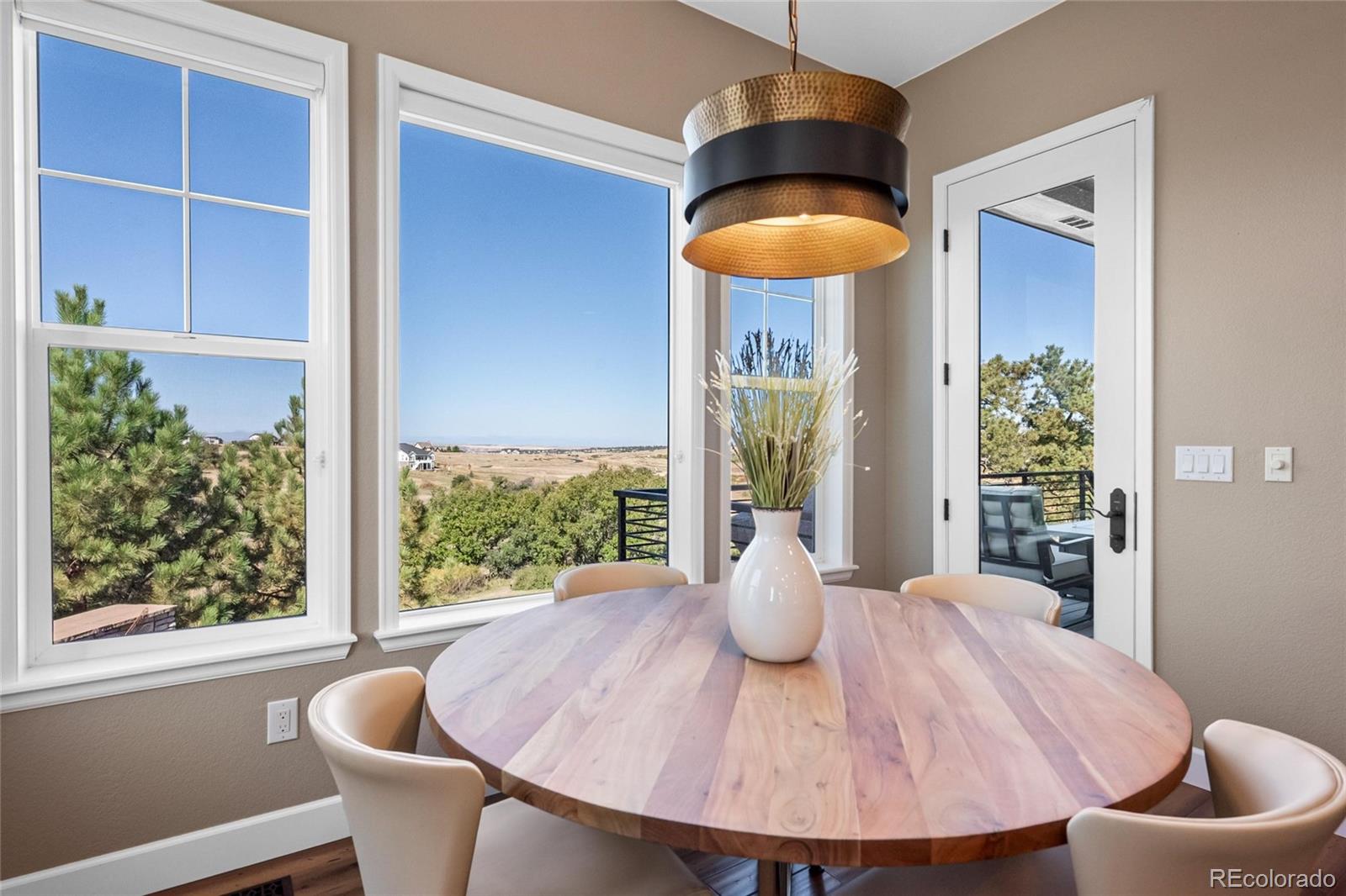 MLS Image #17 for 9563  red primrose street,franktown, Colorado