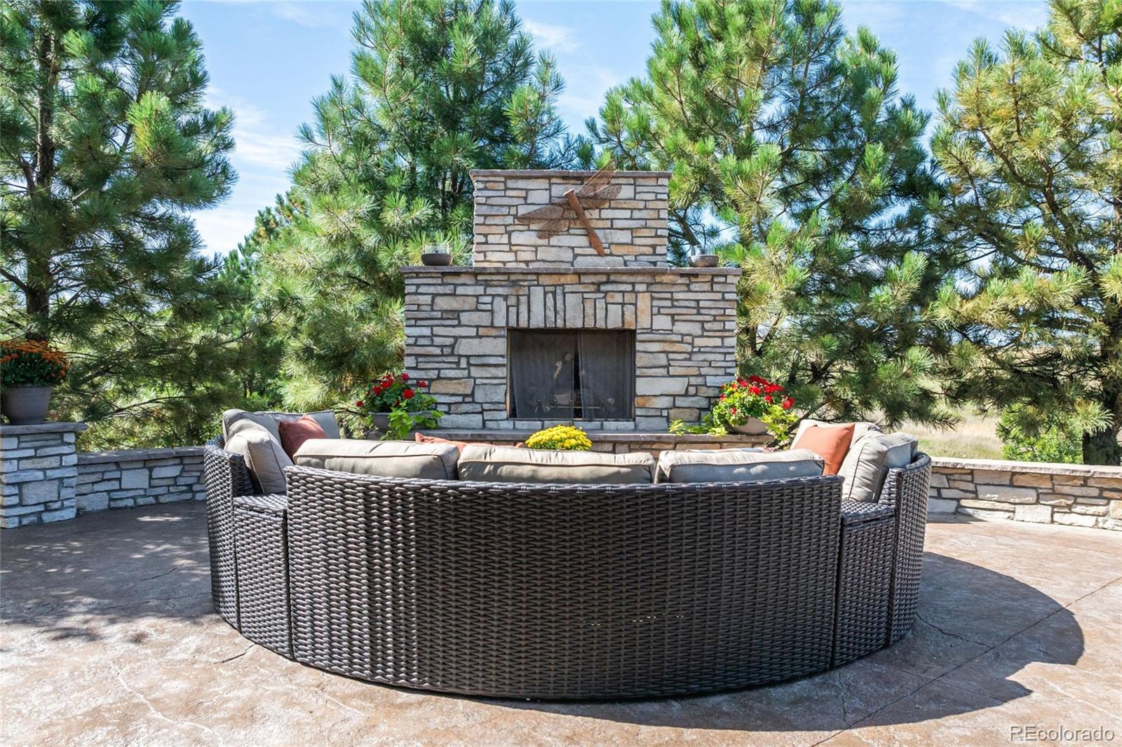 MLS Image #44 for 9563  red primrose street,franktown, Colorado
