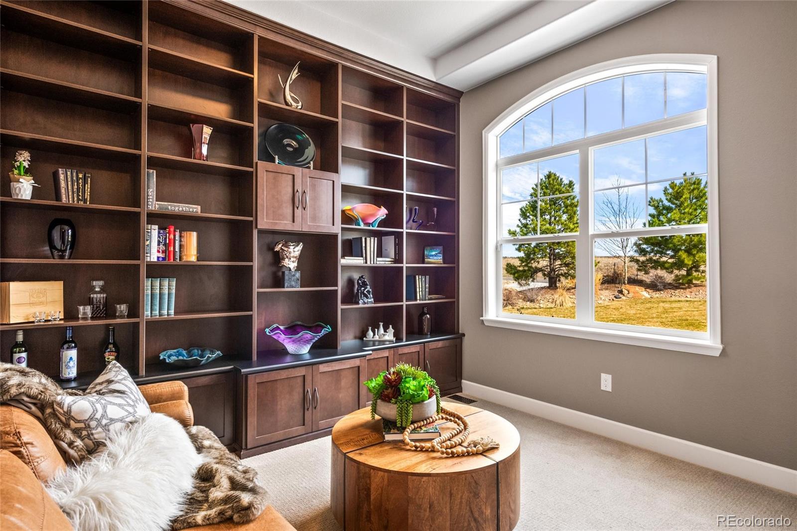 MLS Image #5 for 9563  red primrose street,franktown, Colorado