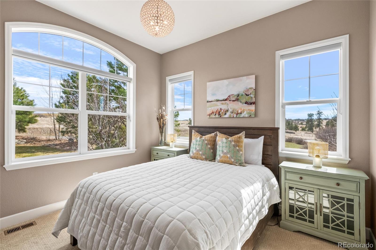 MLS Image #6 for 9563  red primrose street,franktown, Colorado