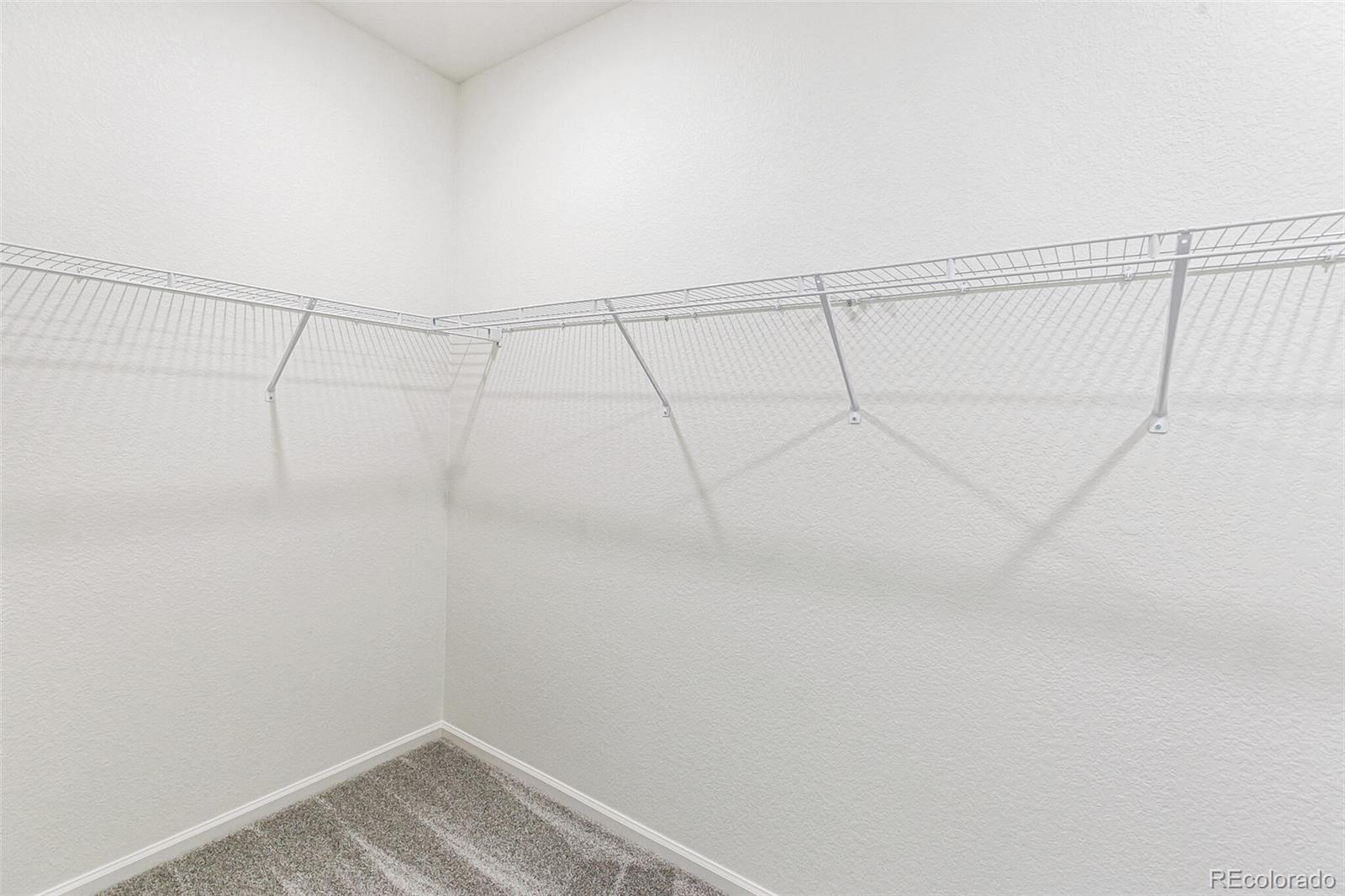 MLS Image #20 for 2098  peachleaf loop,castle rock, Colorado