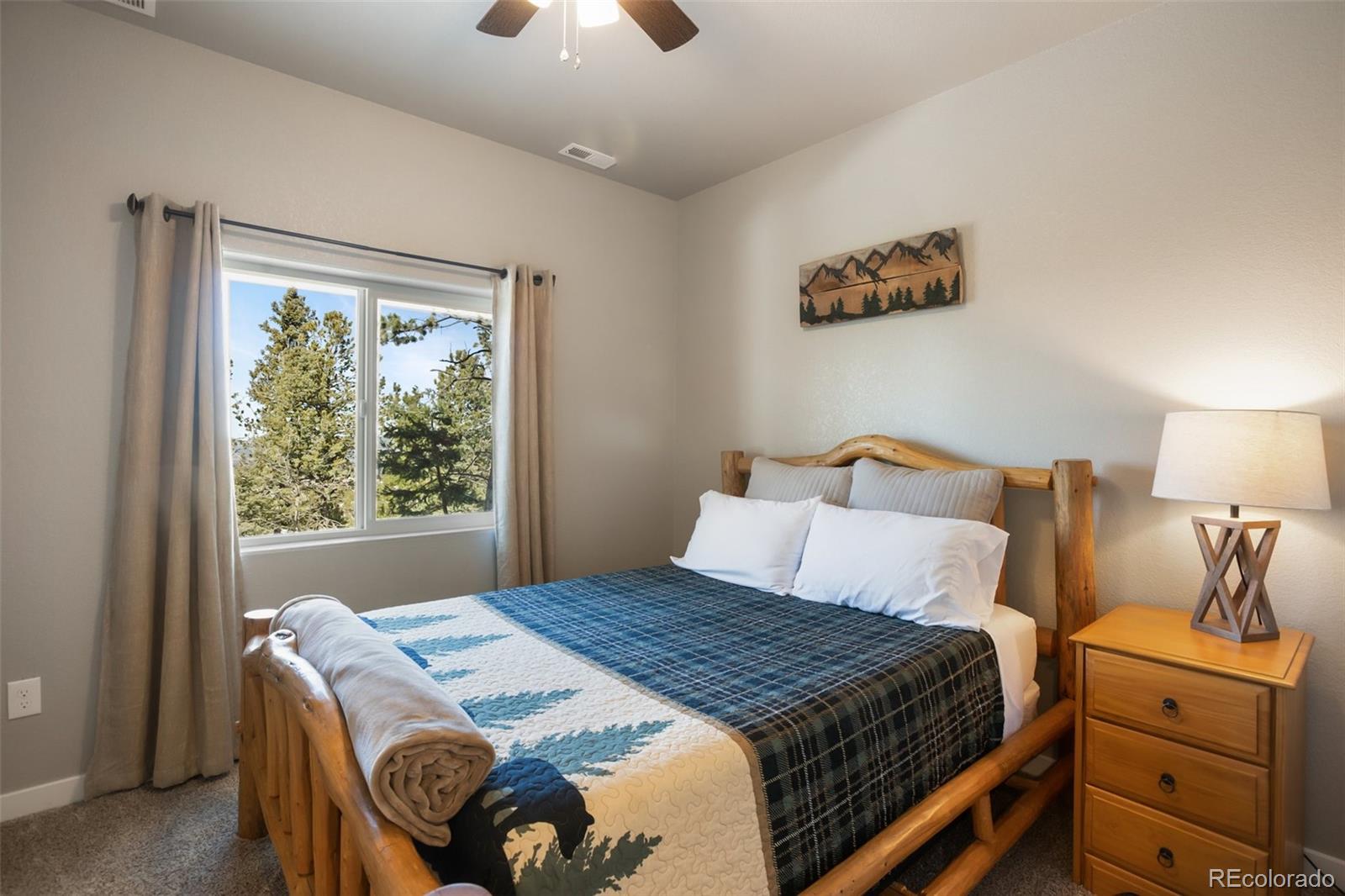 MLS Image #21 for 269  klitowya trail,woodland park, Colorado