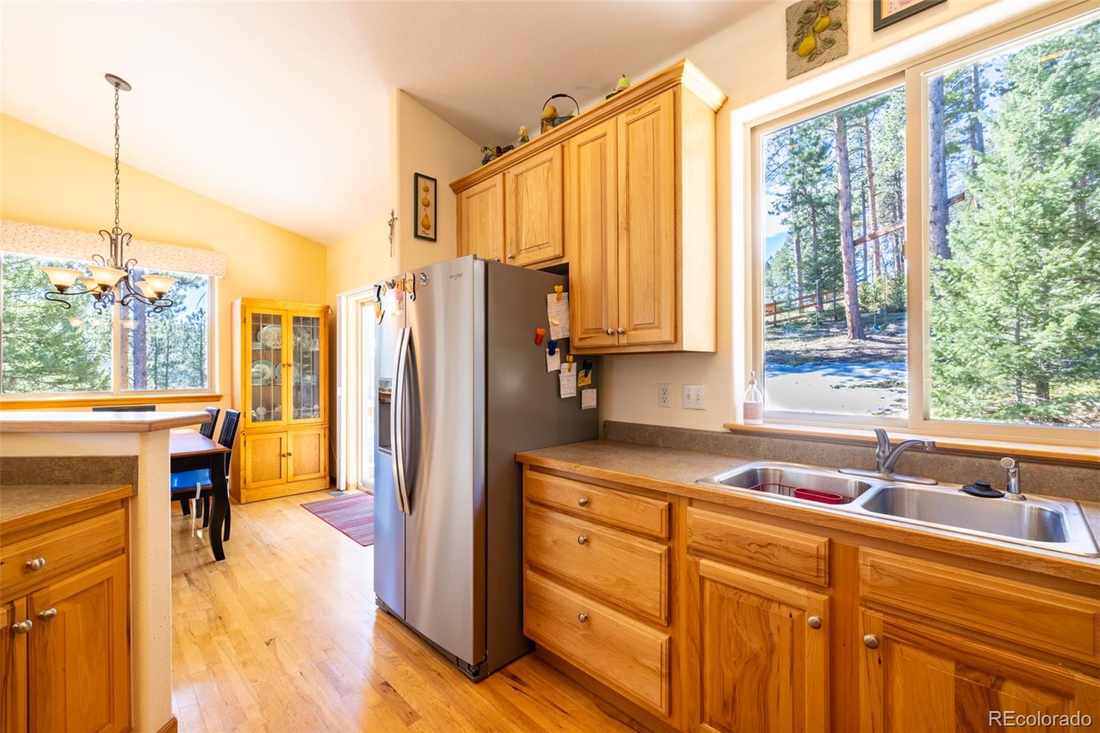 MLS Image #10 for 6752 s columbine road,evergreen, Colorado