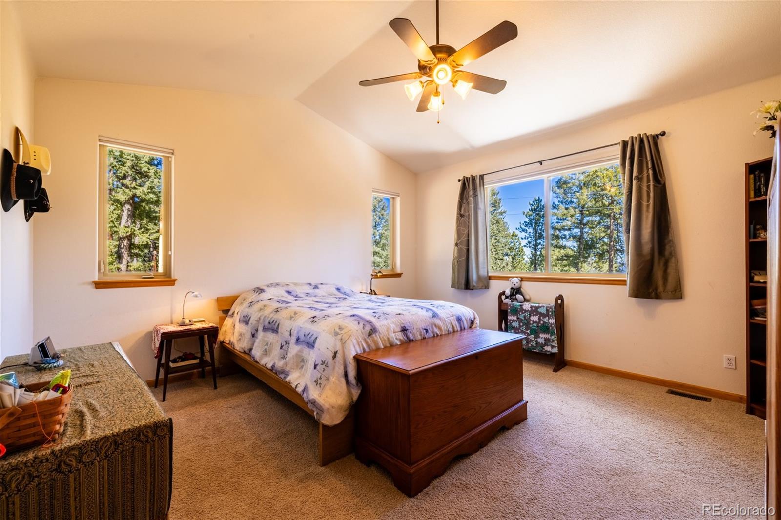 MLS Image #12 for 6752 s columbine road,evergreen, Colorado