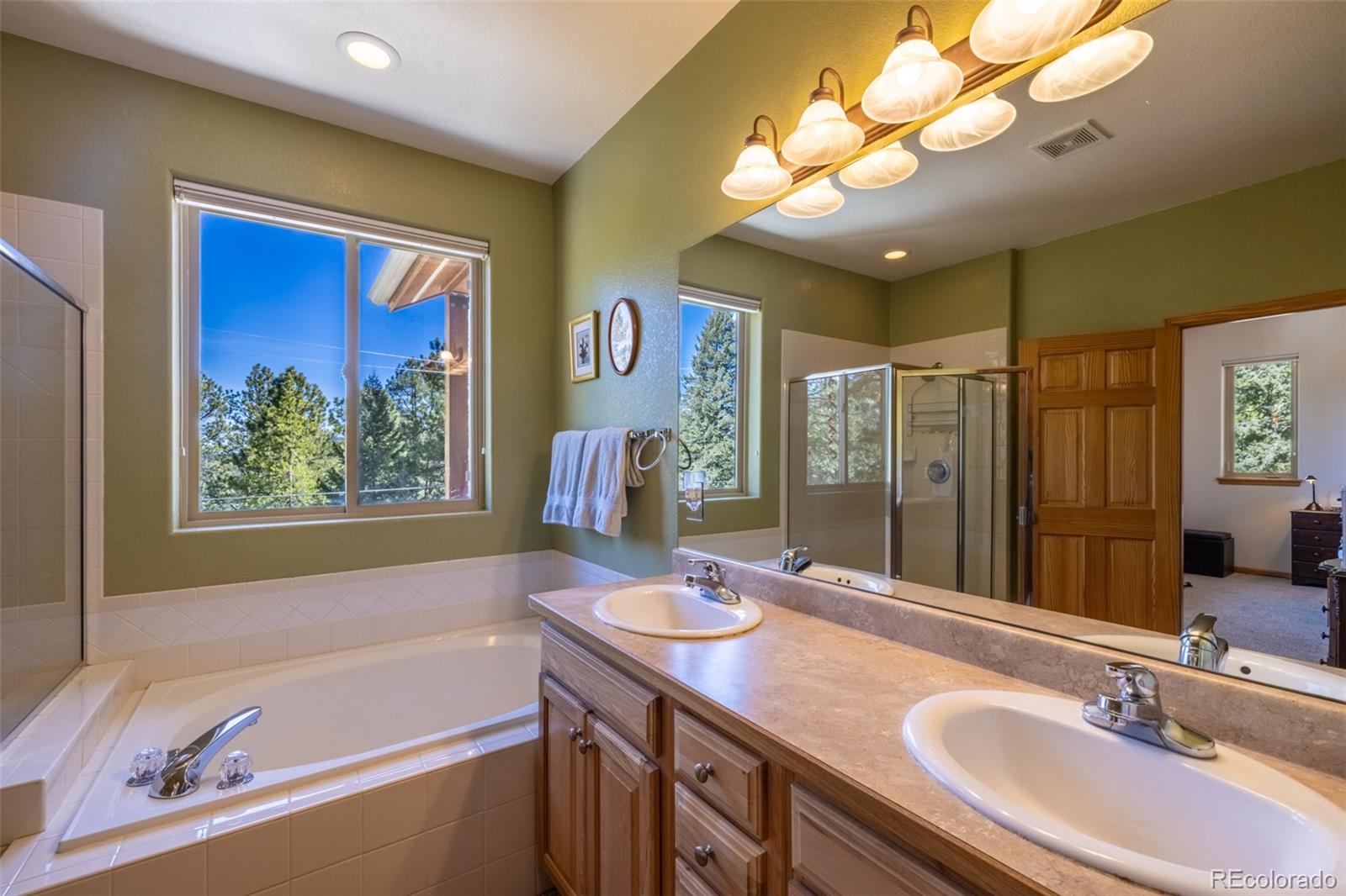 MLS Image #15 for 6752 s columbine road,evergreen, Colorado