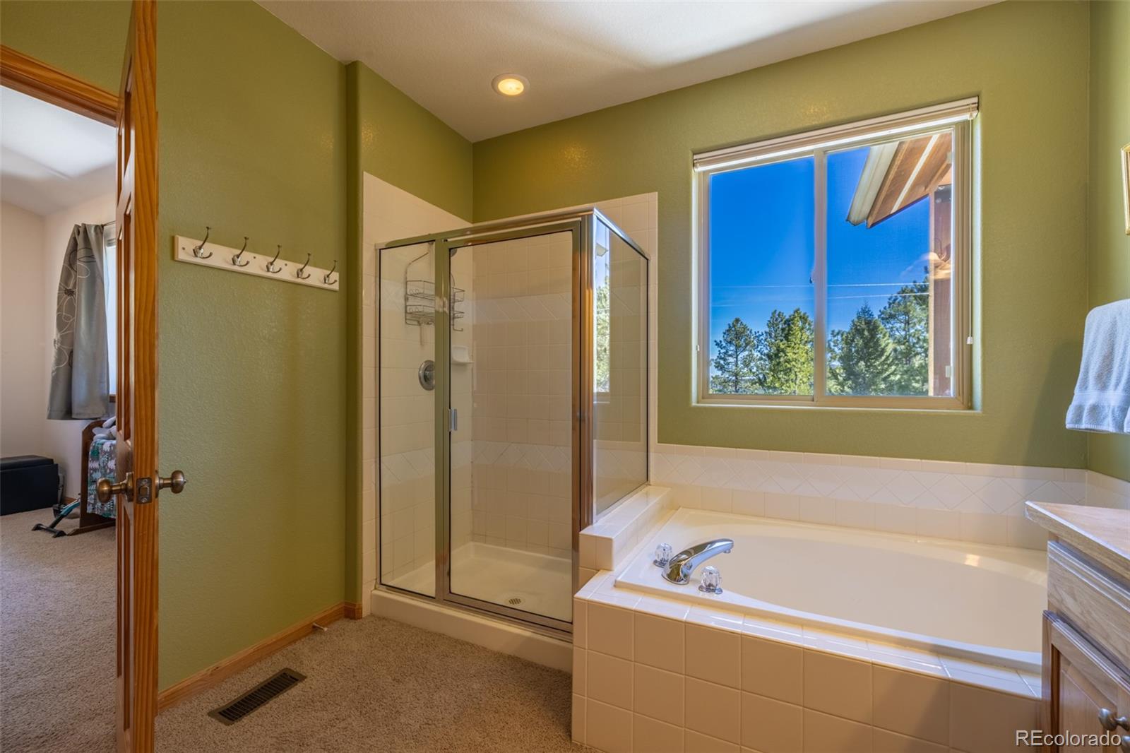 MLS Image #16 for 6752 s columbine road,evergreen, Colorado