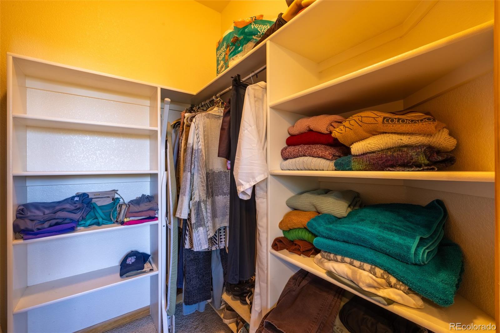 MLS Image #18 for 6752 s columbine road,evergreen, Colorado