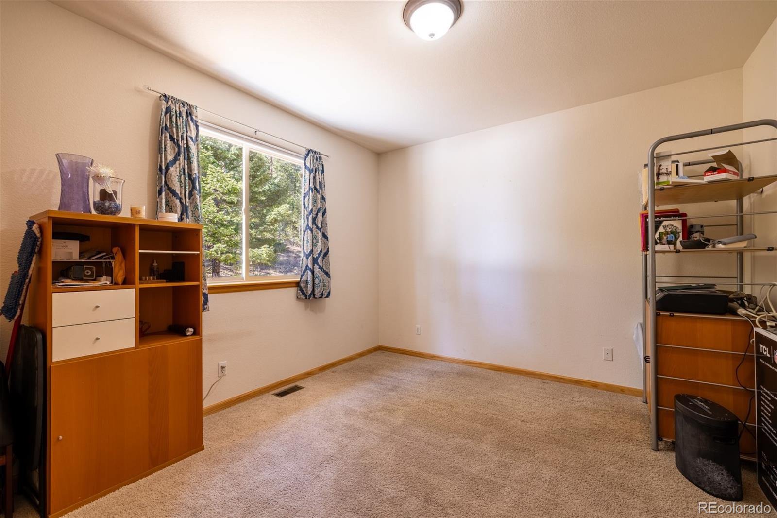 MLS Image #19 for 6752 s columbine road,evergreen, Colorado