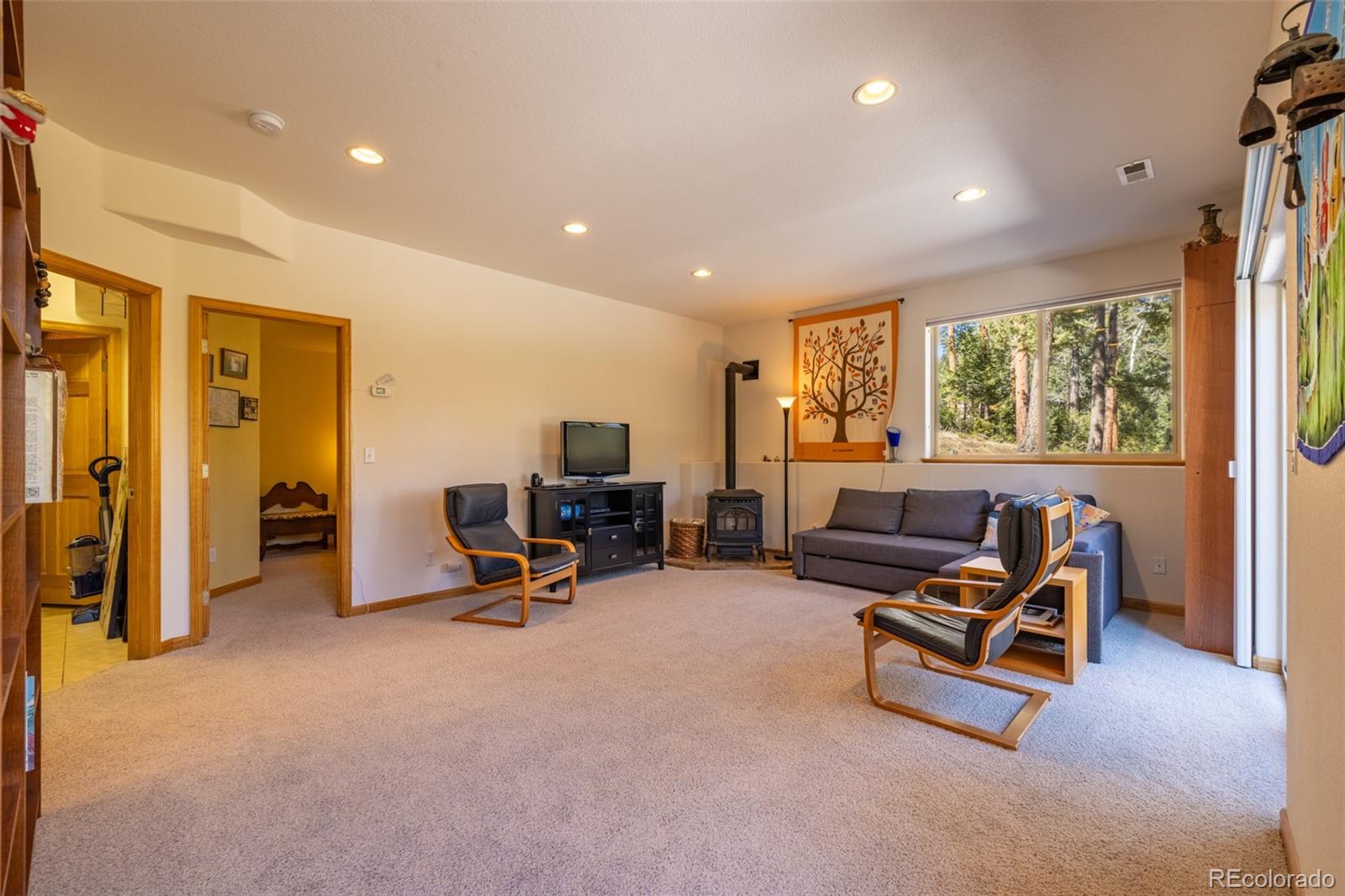 MLS Image #23 for 6752 s columbine road,evergreen, Colorado