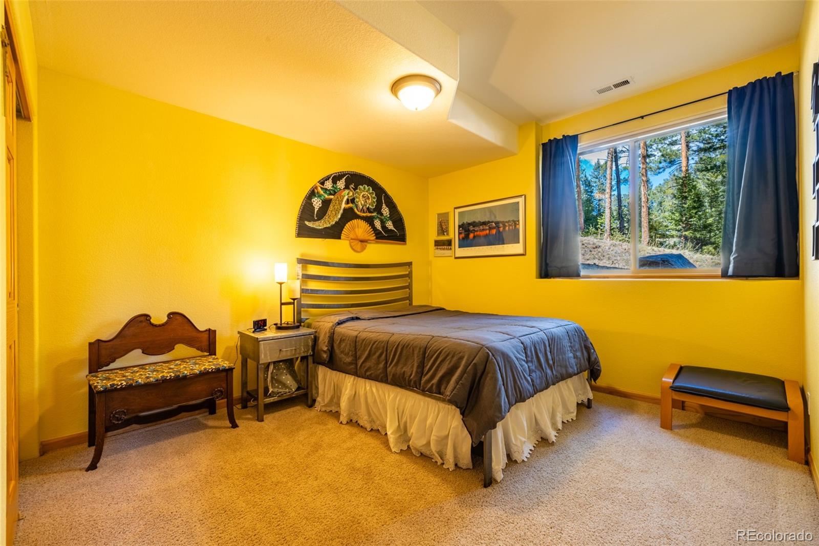 MLS Image #24 for 6752 s columbine road,evergreen, Colorado