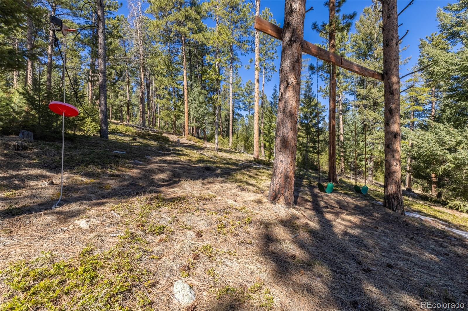 MLS Image #31 for 6752 s columbine road,evergreen, Colorado