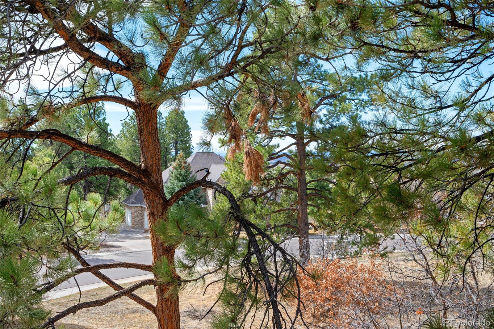 MLS Image #26 for 7957  towhee road,parker, Colorado