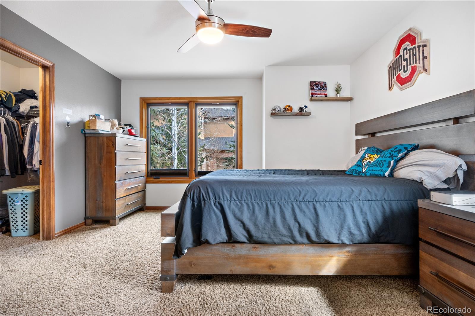 MLS Image #31 for 7957  towhee road,parker, Colorado