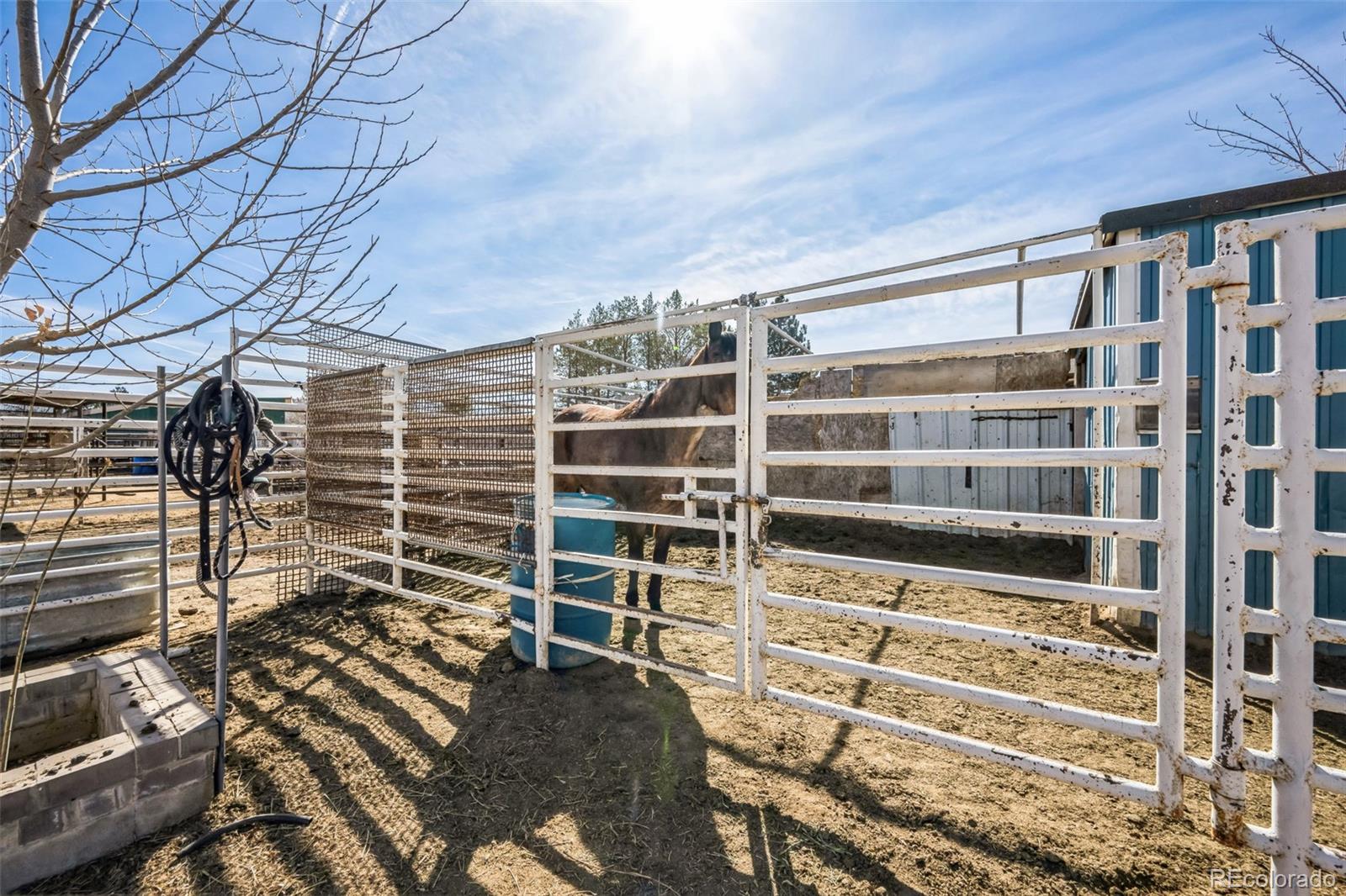 MLS Image #31 for 1930  altura boulevard,aurora, Colorado