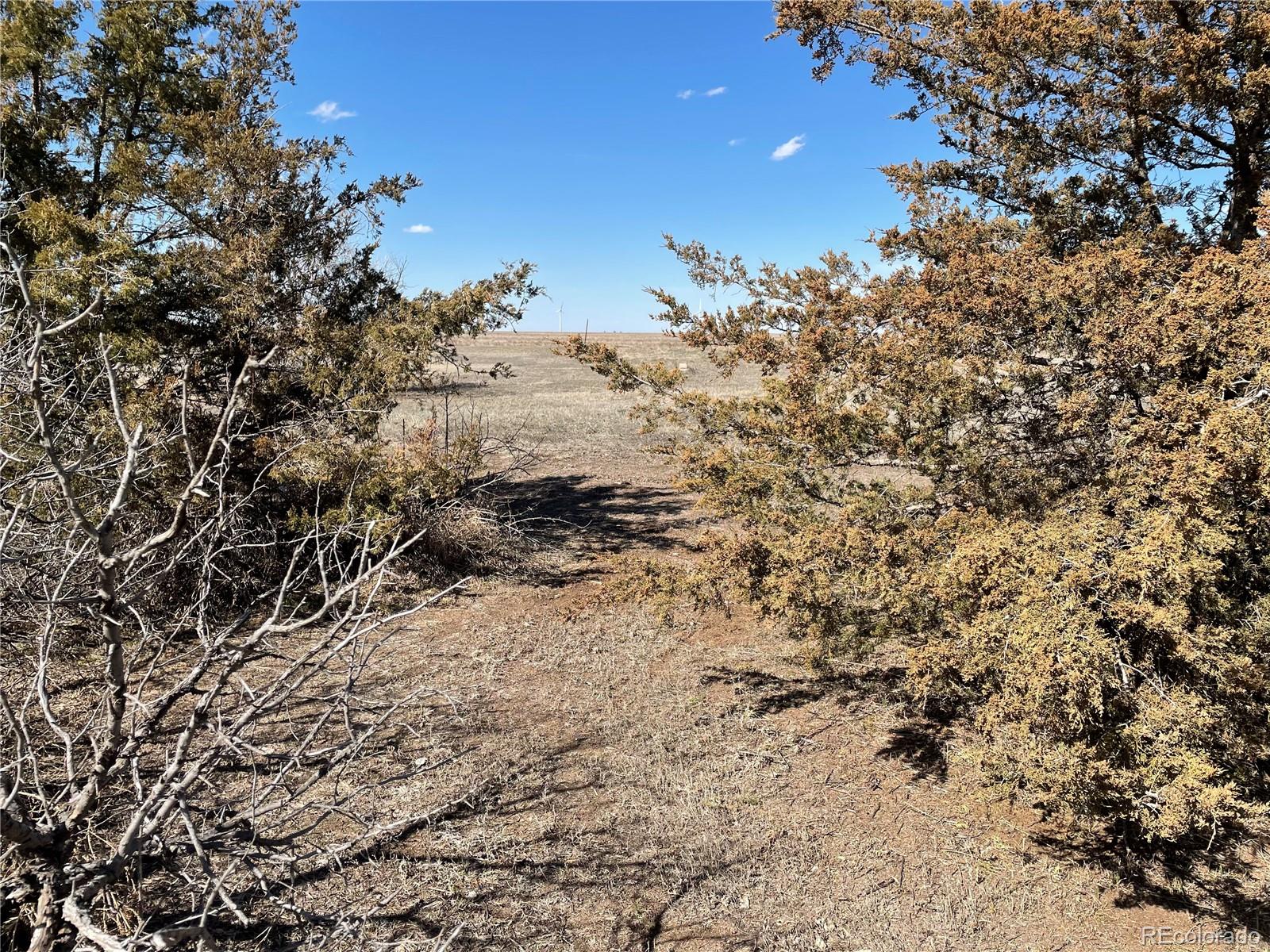 MLS Image #10 for 117  lincoln avenue,arriba, Colorado
