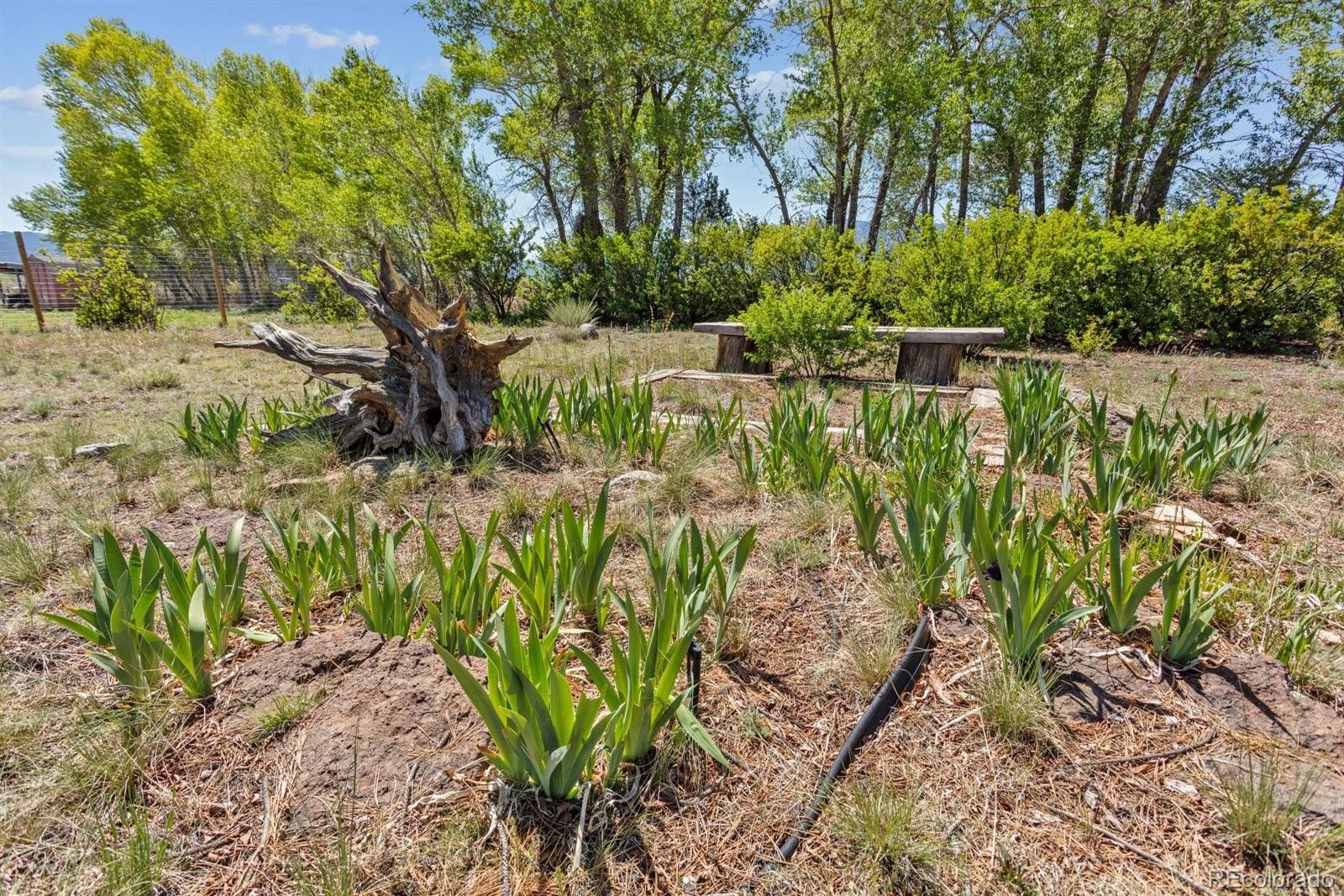 MLS Image #25 for 11203 w county road 190 ,salida, Colorado