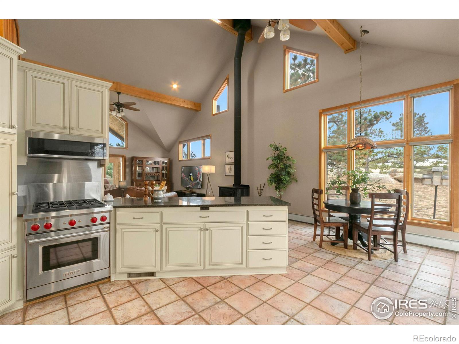 MLS Image #20 for 9512  red mountain road,livermore, Colorado